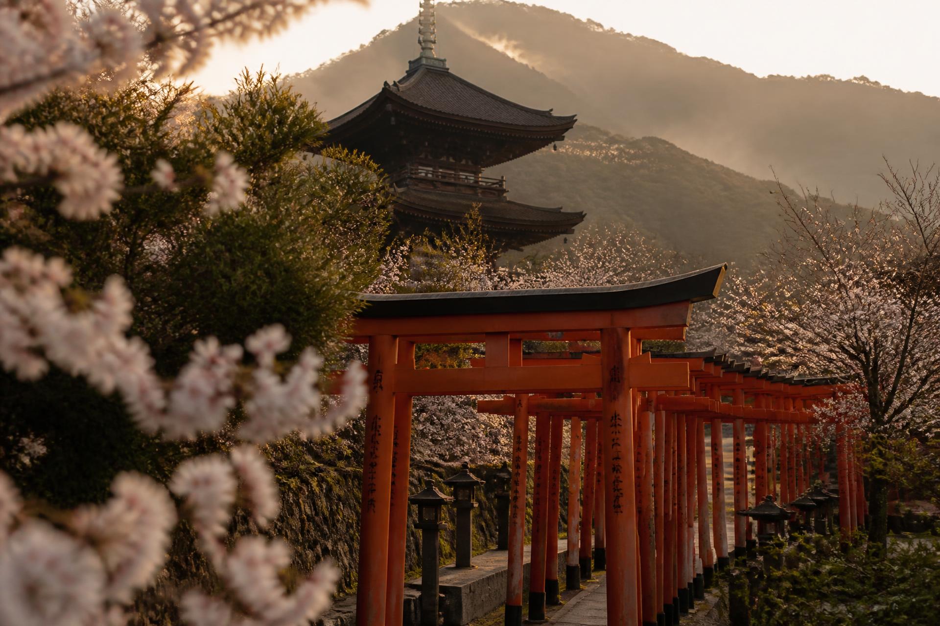 Japón