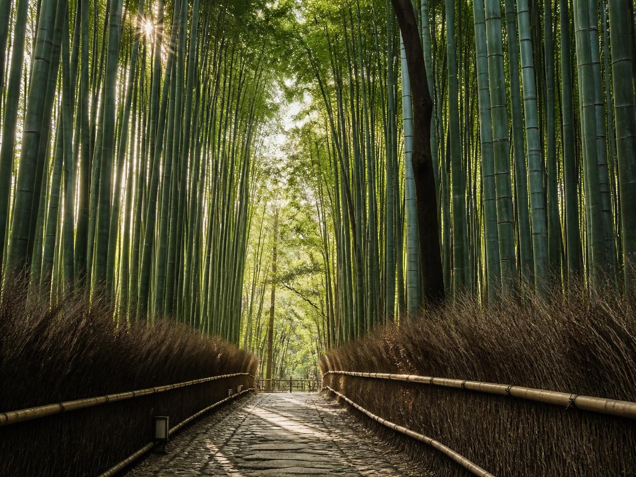 Inspiración para viajar juntos